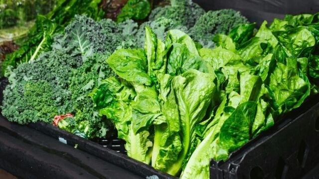 Vitamina K₂ para que sirve, beneficios y como incorporarla en tu salud dental