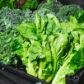 Vitamina K₂ para que sirve, beneficios y como incorporarla en tu salud dental