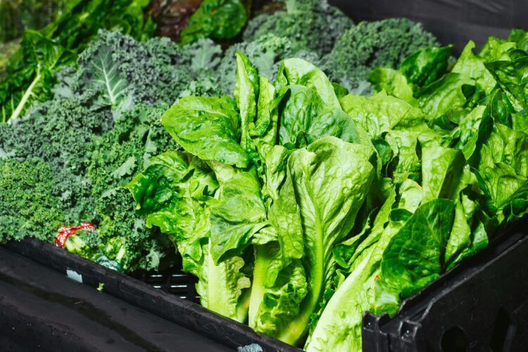 Vitamina K₂ para que sirve, beneficios y como incorporarla en tu salud dental
