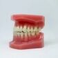 empaste dental