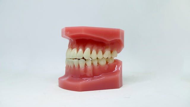 empaste dental