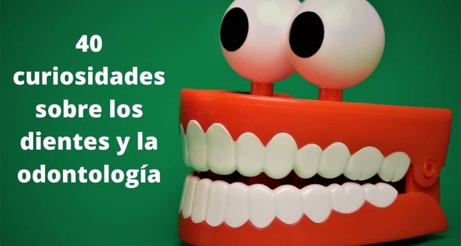 40 curiosidades sobre los dientes y la odontología